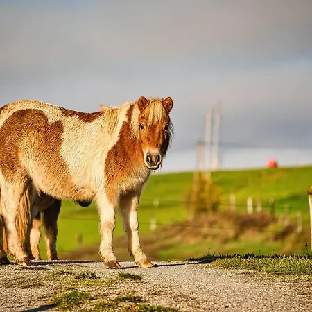 Luxury Ana With Hot Tub