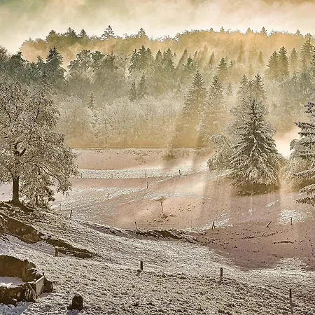 Luxury Ana With Hot Tub *