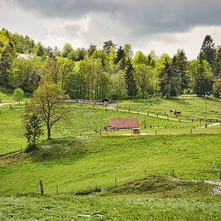 Luxury Ana With Hot Tub Visnja Gora