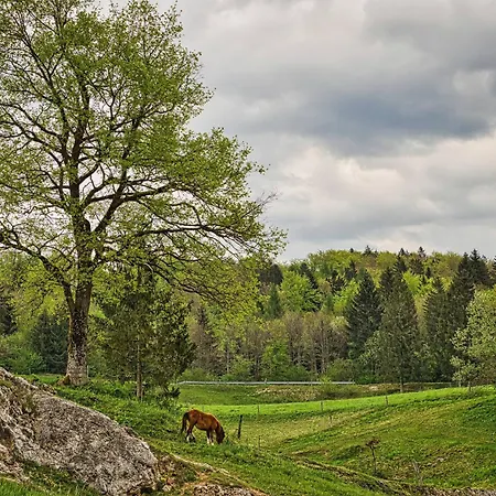 Luxury Ana With Hot Tub * Visnja Gora