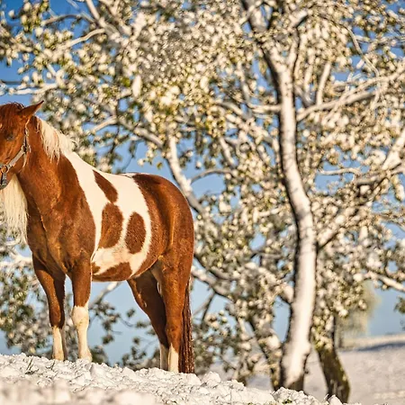 Luxury Ana With Hot Tub