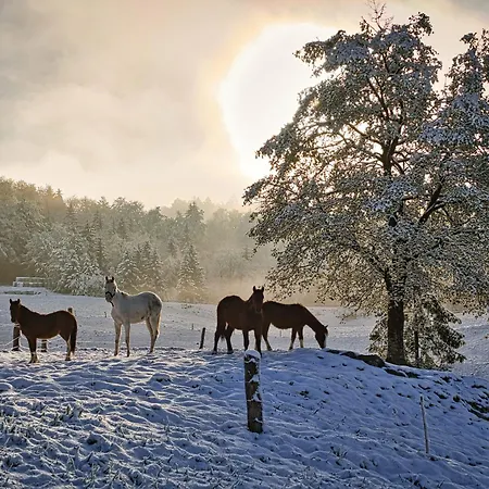 Luxury Ana With Hot Tub Vakantiehuis *