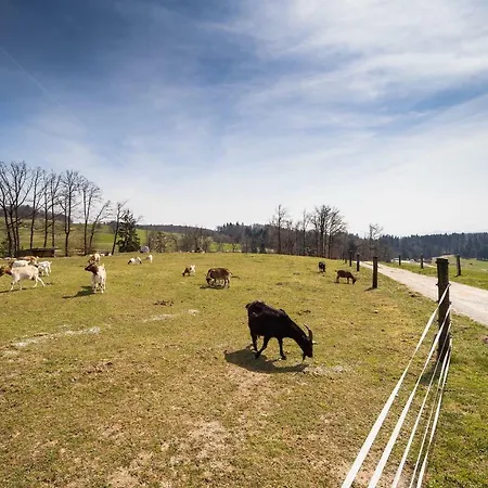 Vakantiehuis Luxury Ana With Hot Tub *