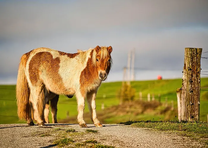 Luxury Ana With Hot Tub