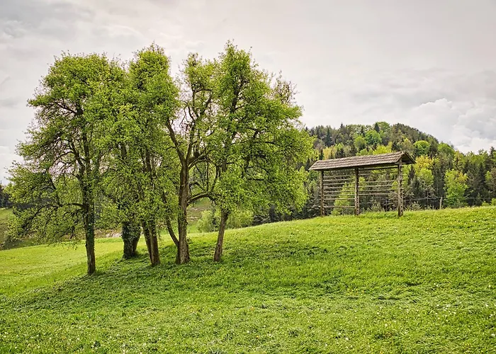Ferienhaus Luxury Ana With Hot Tub *