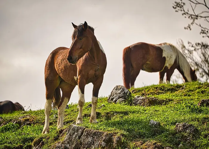 Luxury Ana With Hot Tub Ferienhaus Visnja Gora