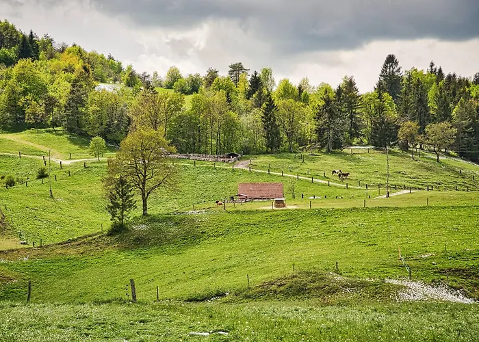 Luxury Ana With Hot Tub Visnja Gora