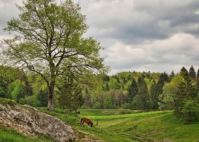 Luxury Ana With Hot Tub * Visnja Gora