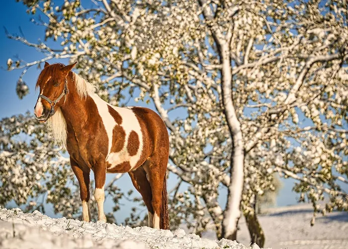 Luxury Ana With Hot Tub