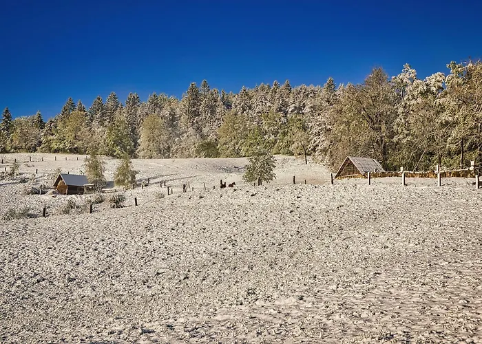 Ferienhaus Luxury Ana With Hot Tub