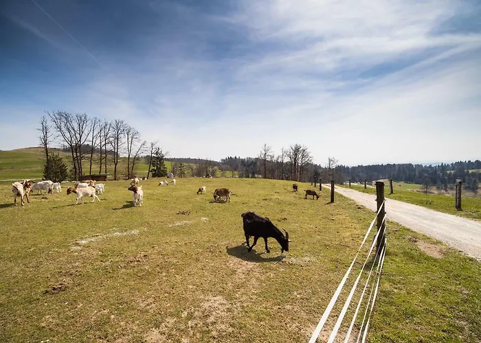 Ferienhaus Luxury Ana With Hot Tub *